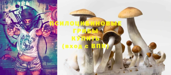 СК Краснослободск