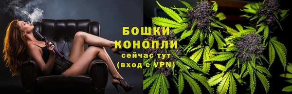 прущие грибы Краснотурьинск