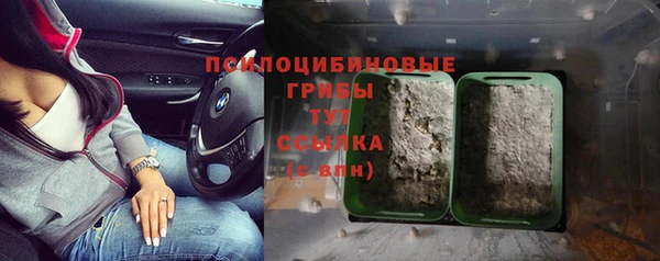 PSILOCYBIN Куйбышев