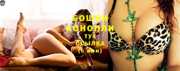 прущие грибы Краснотурьинск