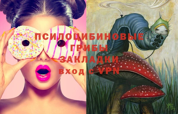 амф Кулебаки