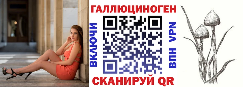 Галлюциногенные грибы Psilocybe  Купить где  Задонск 